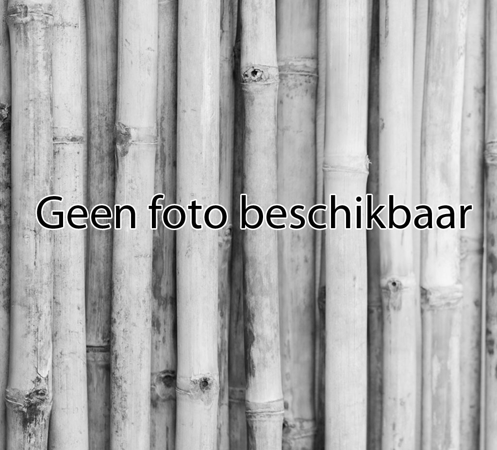 Nog geen foto beschikbaar | Dagbesteding | | de BamBoe